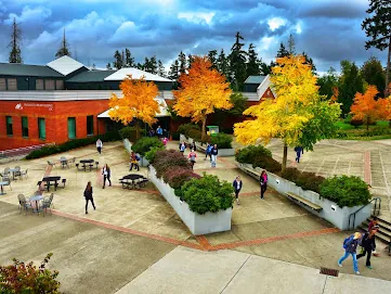Orange and yellow fall trees beside the brick Pierce College Puyallup building and a courtyard with students walking